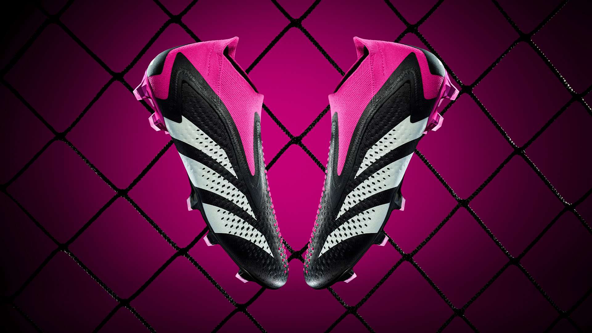 经历或许也 经历或许也